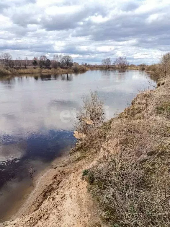 Участок в Ярославская область, Ярославский муниципальный округ, ... - Фото 1