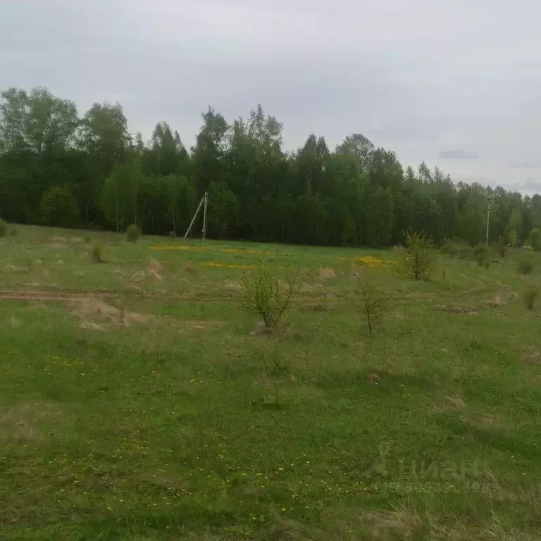 Участок в Московская область, Ступино городской округ, д. Мякинино  ... - Фото 1