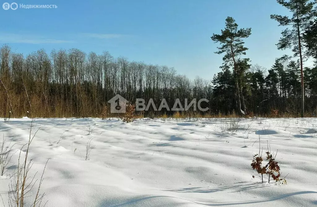 Участок в Ломоносовский район, Русско-Высоцкое сельское поселение, ... - Фото 1