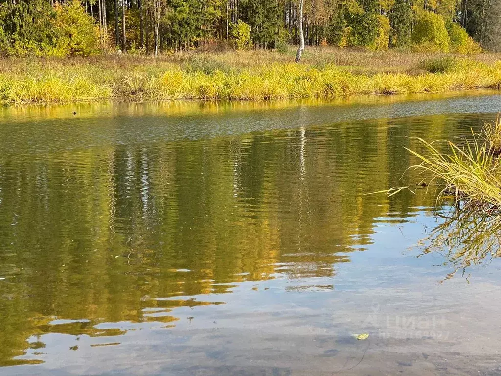 Участок в Московская область, Истра городской округ, д. Куртниково  ... - Фото 1