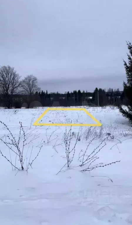 Участок в Удмуртия, Селтинский район, д. Уметьгурт  (25.0 сот.) - Фото 2