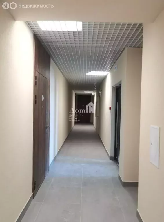 Квартира-студия: Янино-1, Цветной бульвар, 10к1 (24.15 м) - Фото 2