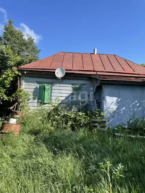 Дом в Белгородская область, Алексеевский муниципальный округ, ... - Фото 0