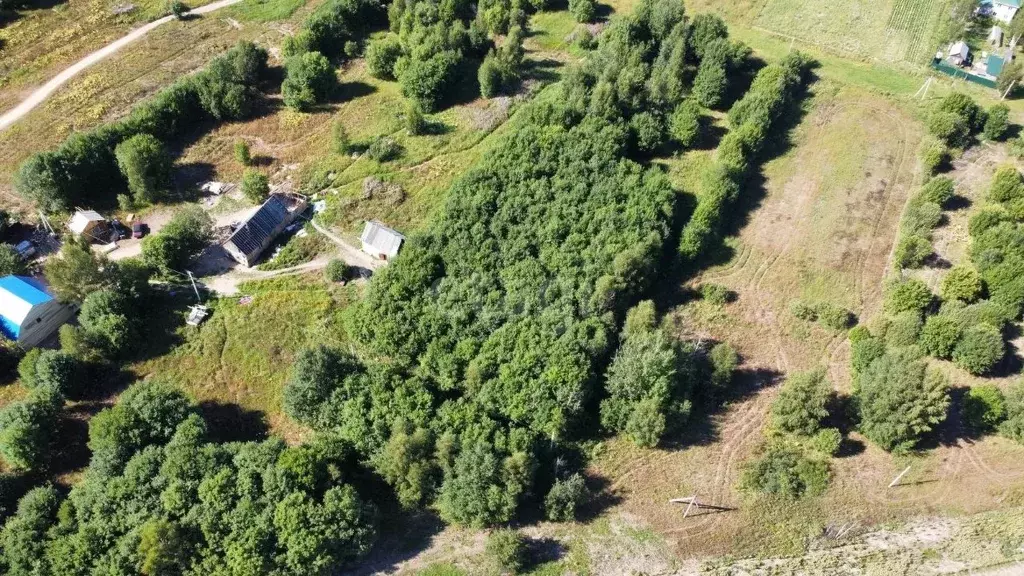 Участок в Московская область, Клин городской округ, д. Елгозино  (25.0 ... - Фото 1