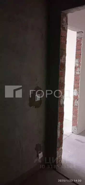 Студия Новосибирская область, Новосибирск ул. Гоголя, 209 (20.0 м) - Фото 1