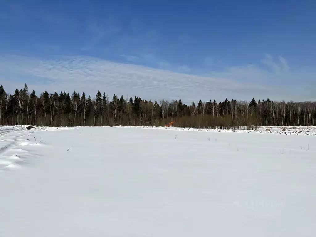 Участок в Московская область, Мытищи городской округ, д. Фелисово  ... - Фото 1