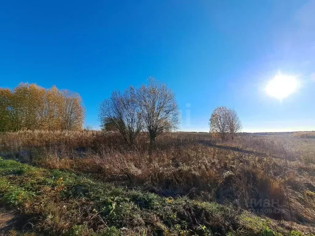 Участок в Вологодская область, Шекснинский муниципальный округ, д. ... - Фото 2