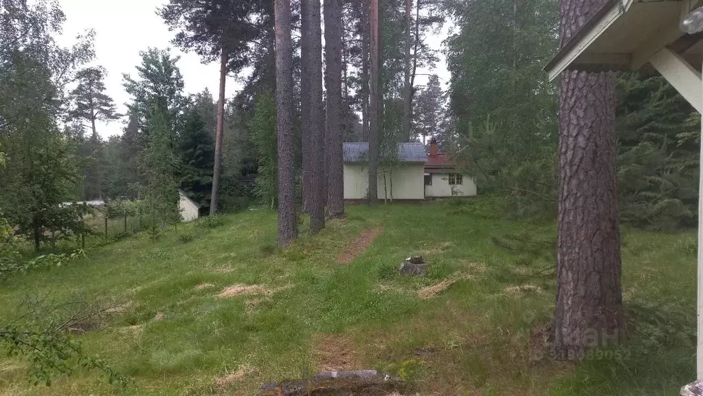 Участок в Ленинградская область, Всеволожский район, Куйвозовское ... - Фото 0