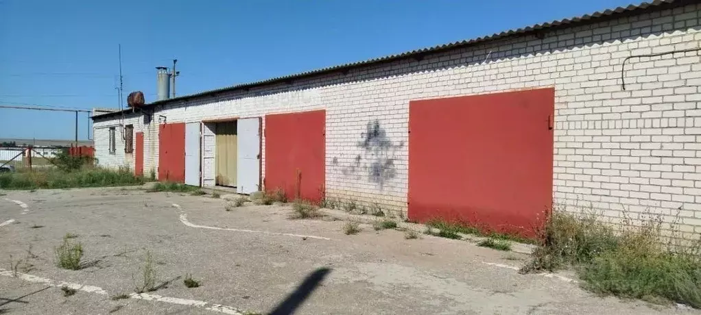 Помещение свободного назначения в Волгоградская область, Дубовка ... - Фото 1