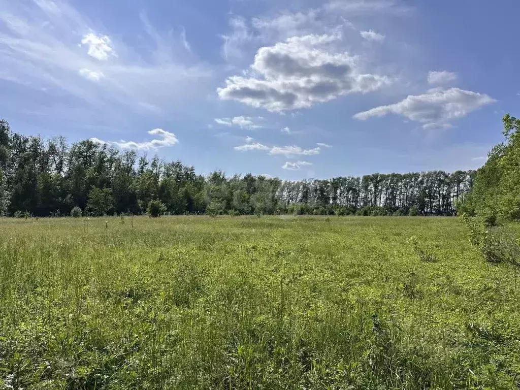 Участок в Башкортостан, Кармаскалинский район, Кабаковский сельсовет, ... - Фото 2