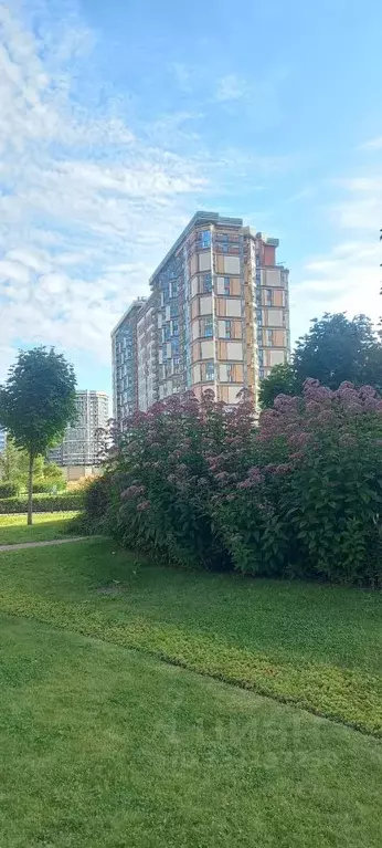 1-к кв. Санкт-Петербург Коломяжский просп., 5к3 (41.8 м) - Фото 1