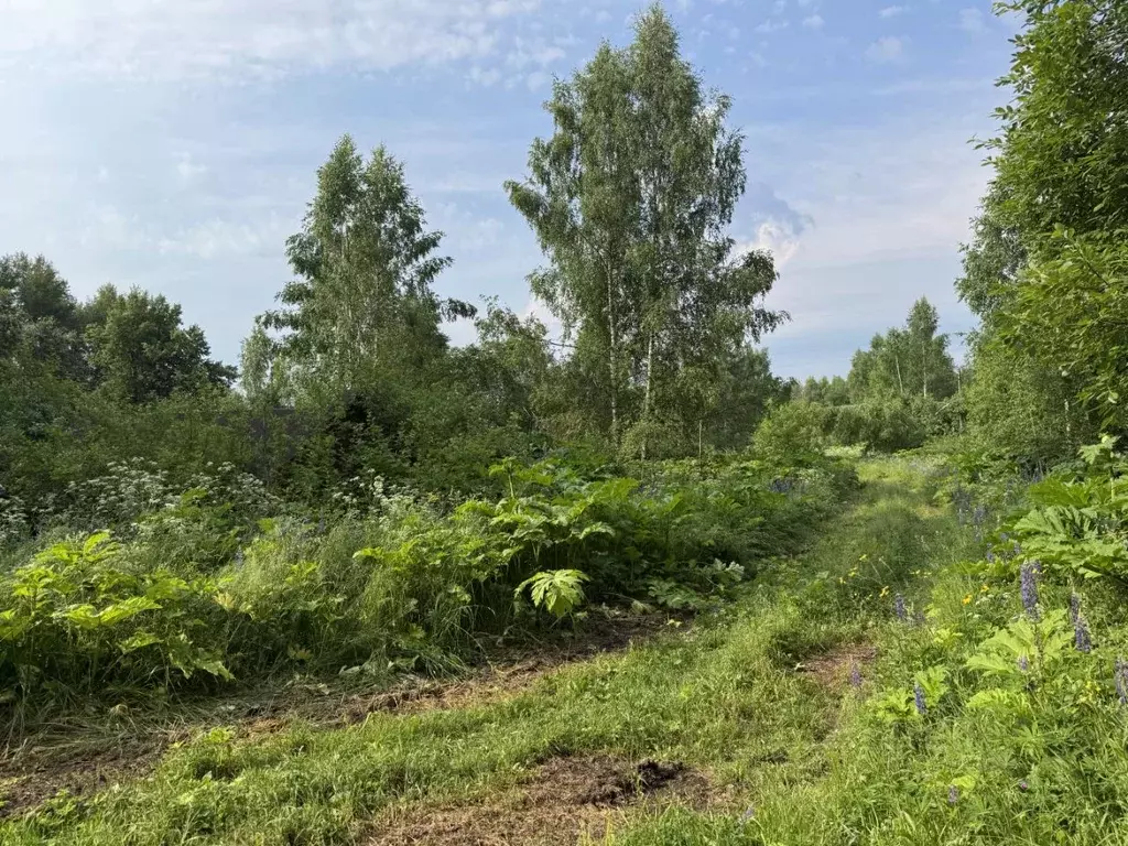 Участок в Московская область, Клин городской округ, д. Покровка  (10.0 ... - Фото 2
