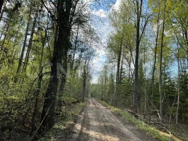 Участок в Ленинградская область, Выборгский район, Каменногорское ... - Фото 0
