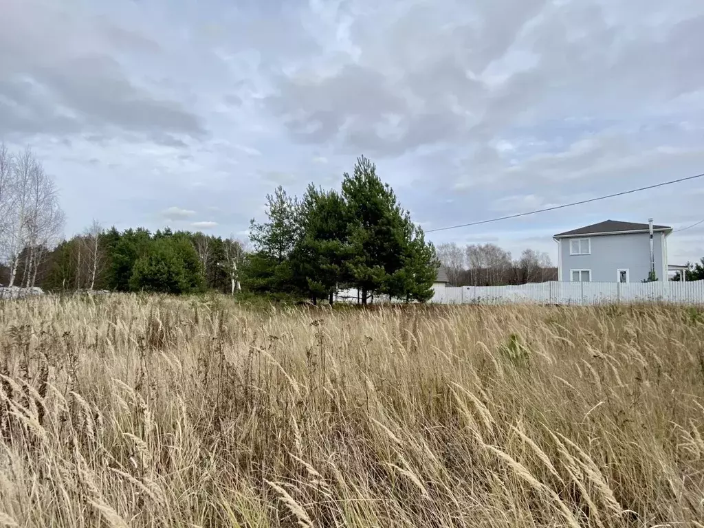 Участок в Тульская область, Заокский район, Малаховское с/пос, ... - Фото 1