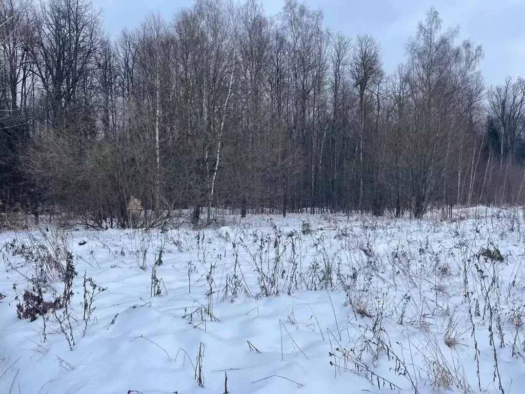 Участок в Московская область, Серпухов городской округ, д. Всходы  ... - Фото 0