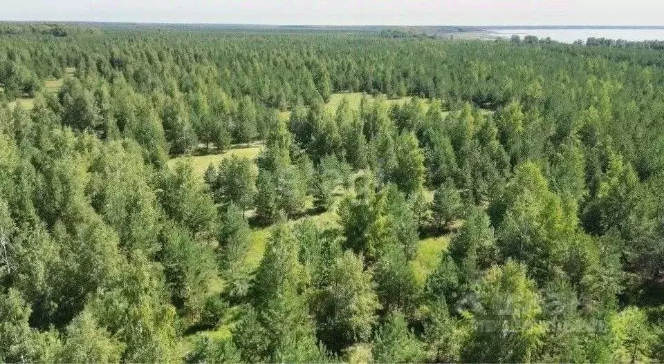 Участок в Свердловская область, Сысертский муниципальный округ, пос. ... - Фото 1