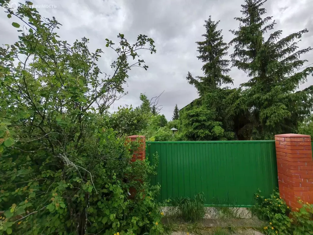 Дом в Омский район, Андреевское сельское поселение (51 м) - Фото 1