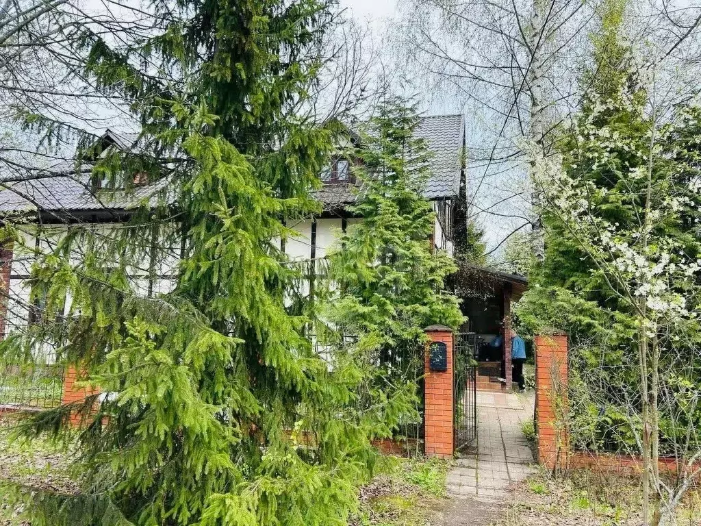 Участок в Московская область, Пушкинский городской округ, Ашукино пгт ... - Фото 1