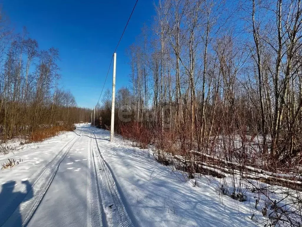 Участок в Вологодская область, Вологда Медик садоводческое ... - Фото 2