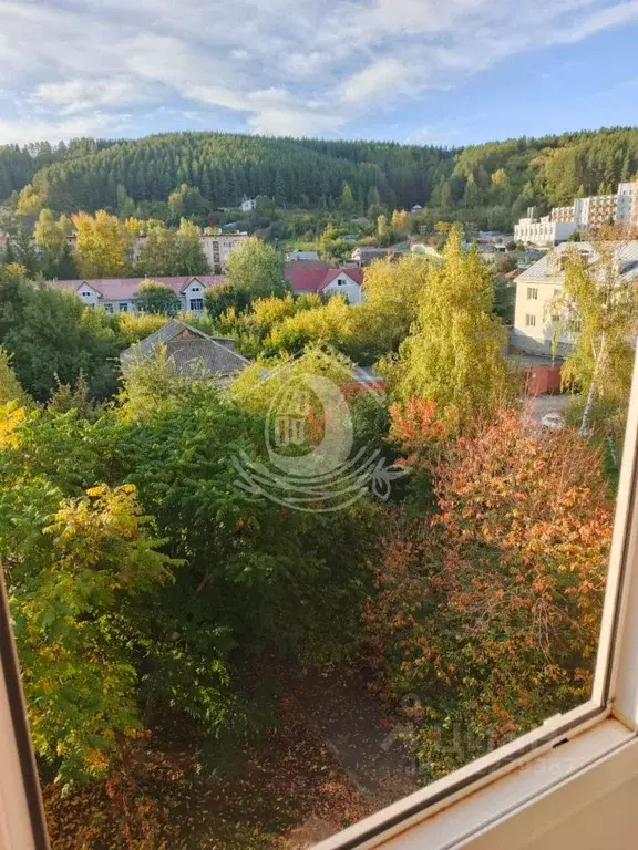3-к кв. Алтайский край, Белокуриха ул. Академика Мясникова, 14 (58.1 ... - Фото 1