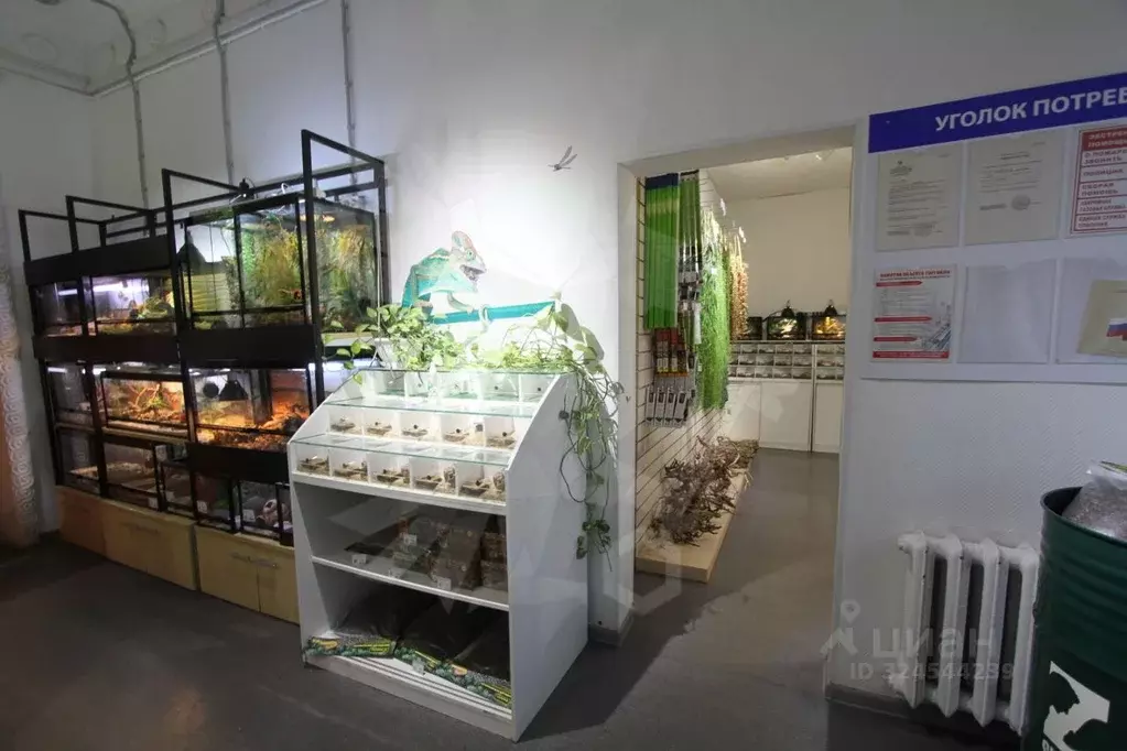 Торговая площадь в Москва Кирпичная ул., 29 (15 м) - Фото 2