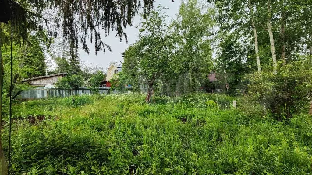 Участок 6 сот. (СНТ, ДНП) - Фото 0
