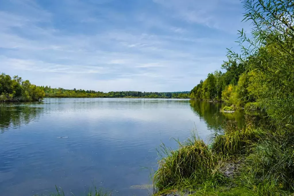 Участок в Иркутская область, Шелеховский район, Баклашинское ... - Фото 1