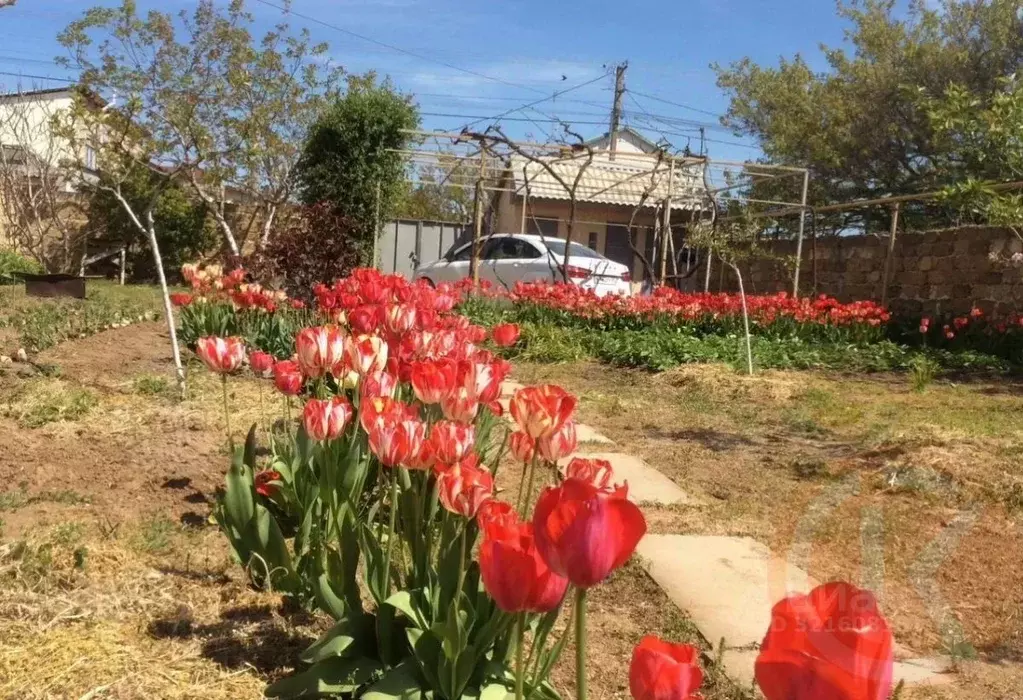 Дом в Крым, Сакский район, Уютненское с/пос, Приморье садовое ... - Фото 1