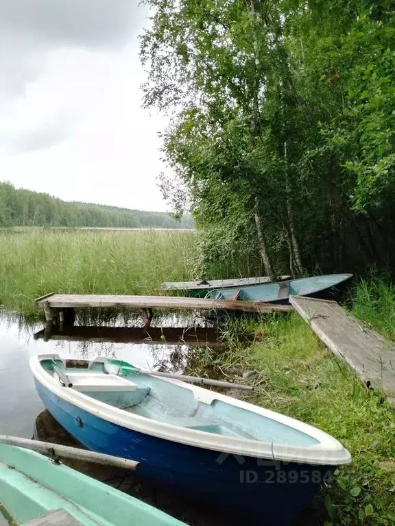 Дом в Карелия, Кондопожский район, Петровское с/пос, д. Мунозеро, ... - Фото 0