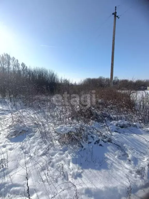 Участок в Белгородская область, Губкинский городской округ, пос. ... - Фото 0