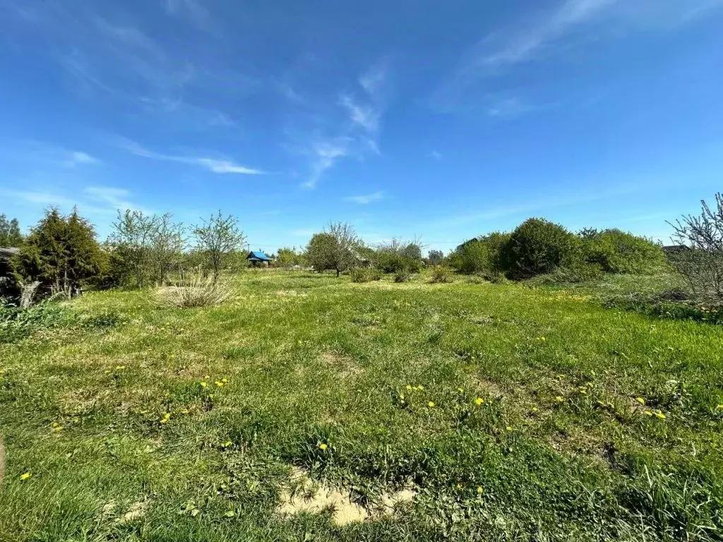 Участок в Костромская область, Костромской район, Сущевское с/пос, ... - Фото 2