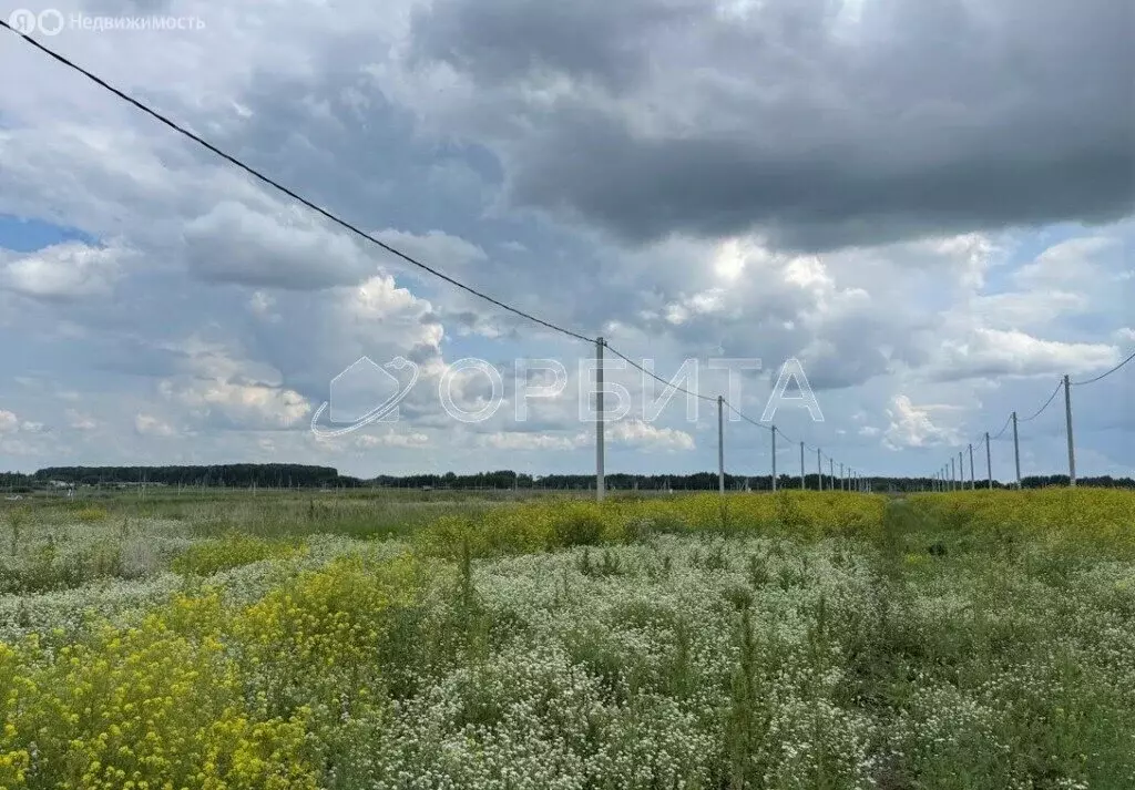 Участок в Тюменский район, село Червишево (8.36 м) - Фото 1
