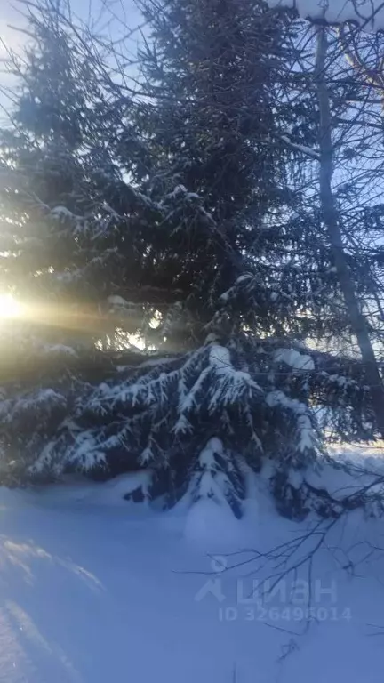 Участок в Ленинградская область, Ломоносовский район, Виллозское ... - Фото 1