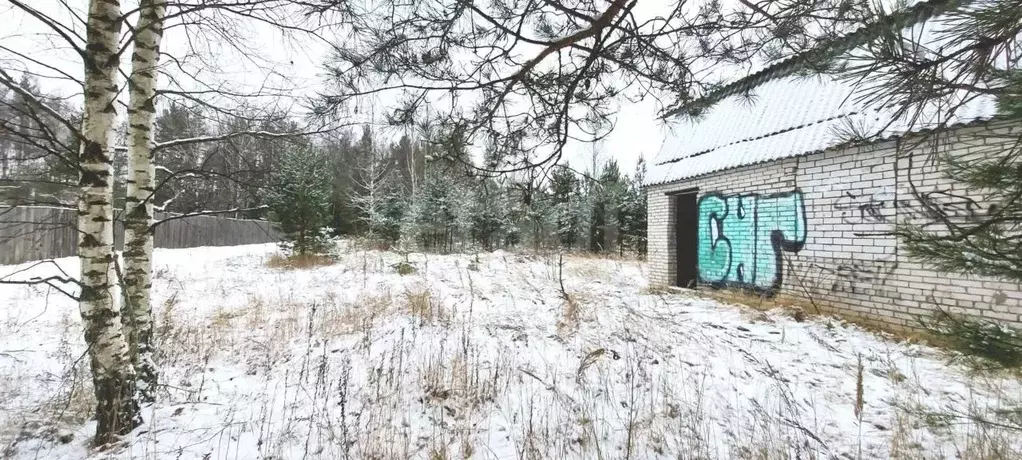 Участок в Владимирская область, Ковровский район, Малыгинское с/пос, ... - Фото 1