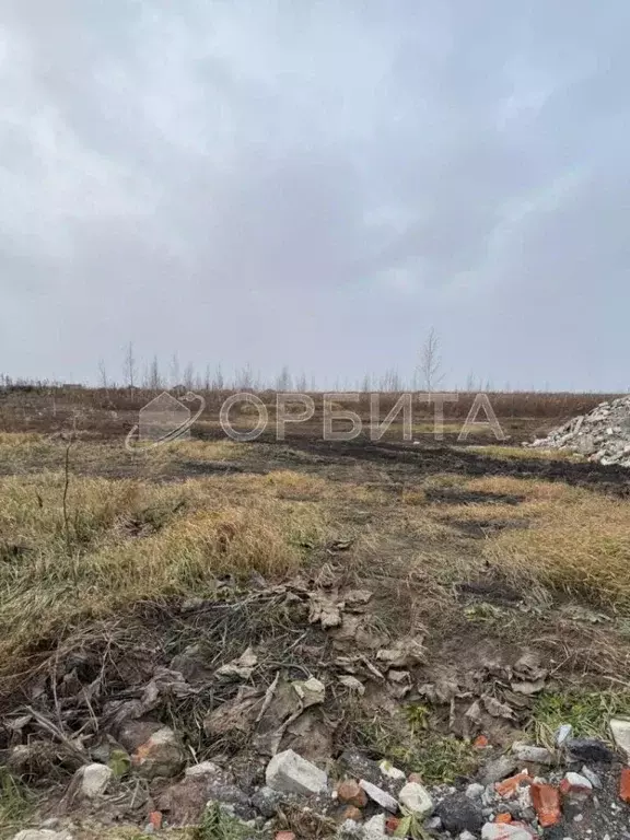 Участок в Тюменская область, Тюменский район, с. Перевалово, Зубарево ... - Фото 0