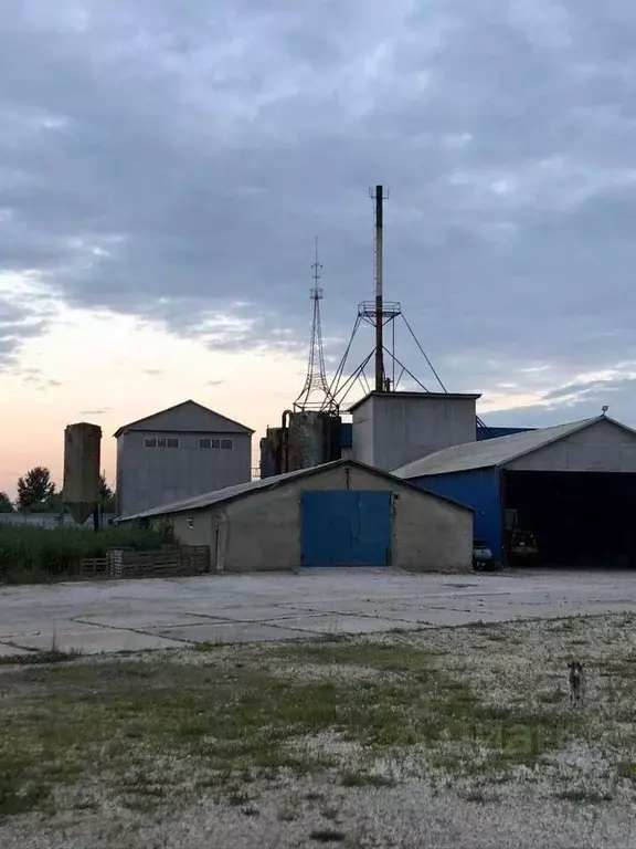 Производственное помещение в Тульская область, Веневский район, ... - Фото 0