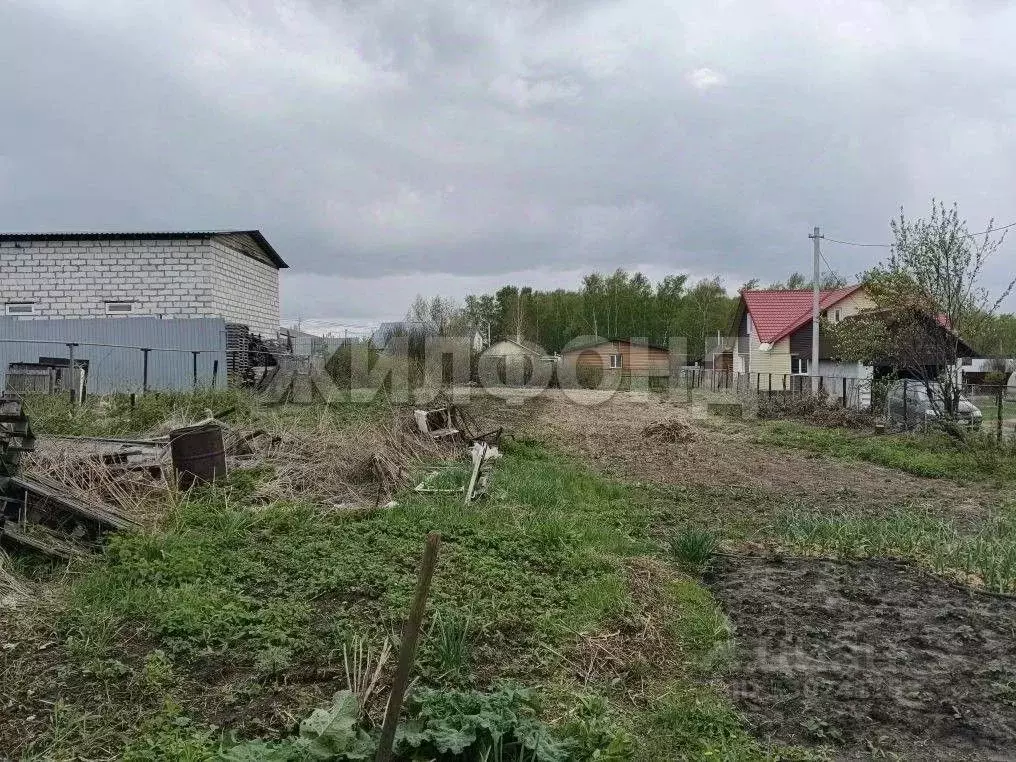 Дом в Новосибирская область, с. Новолуговое Дачная ул. (29 м) - Фото 1