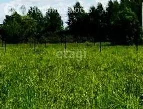 Участок в Томский район, село Яр (10 м) - Фото 1