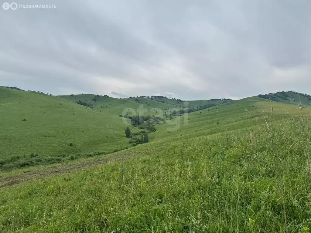 Участок в Алтайский район, ДНТ Жемчужина Алтая (10.15 м) - Фото 2