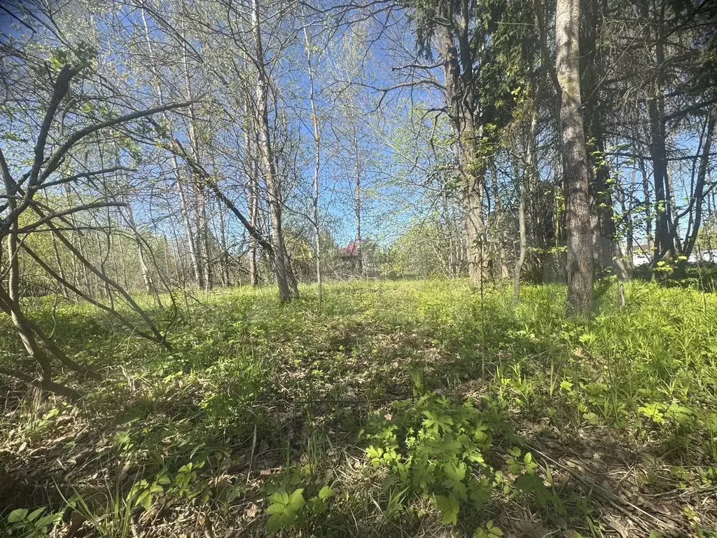 Дом 45 м на участке 6 сот. - Фото 1