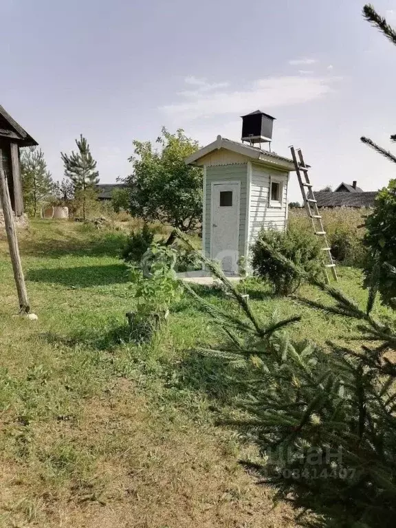 Дом в Псковская область, Невельский муниципальный округ, д. Рудня  (47 ... - Фото 2