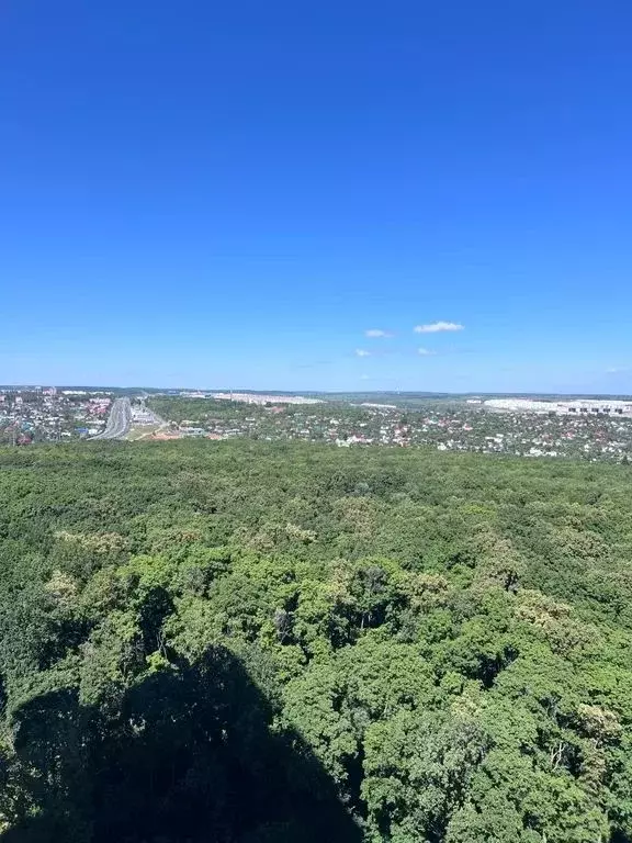 2-к кв. Самарская область, Самара Московское шоссе, 18-й км, 47 (63.0 ... - Фото 1