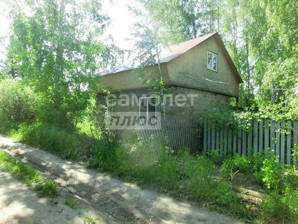 Дом в Омск, территория СОСН Нефтехимик, 749 (46 м) - Фото 1