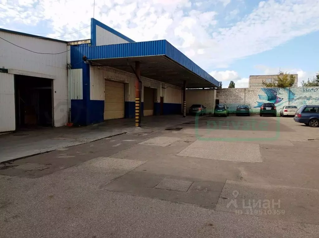 Торговая площадь в Калининградская область, Калининград Московский ... - Фото 1