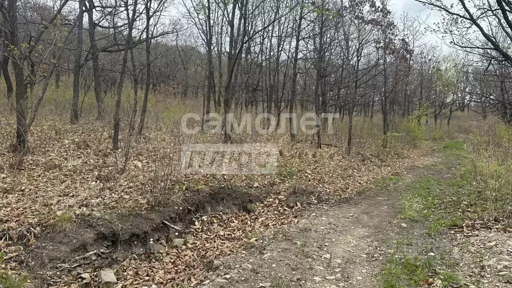Участок в Приморский край, Находка Звезда СНТ, ул. Коперника (15.0 ... - Фото 1