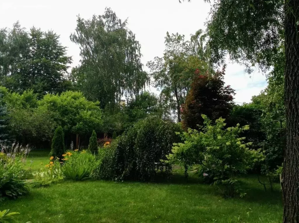 Участок в Санкт-Петербург, Челябинская улица, 57 (6 м) - Фото 0