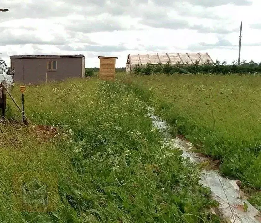 Участок в Ленинградская область, Гатчина 1 (10.6 сот.) - Фото 1