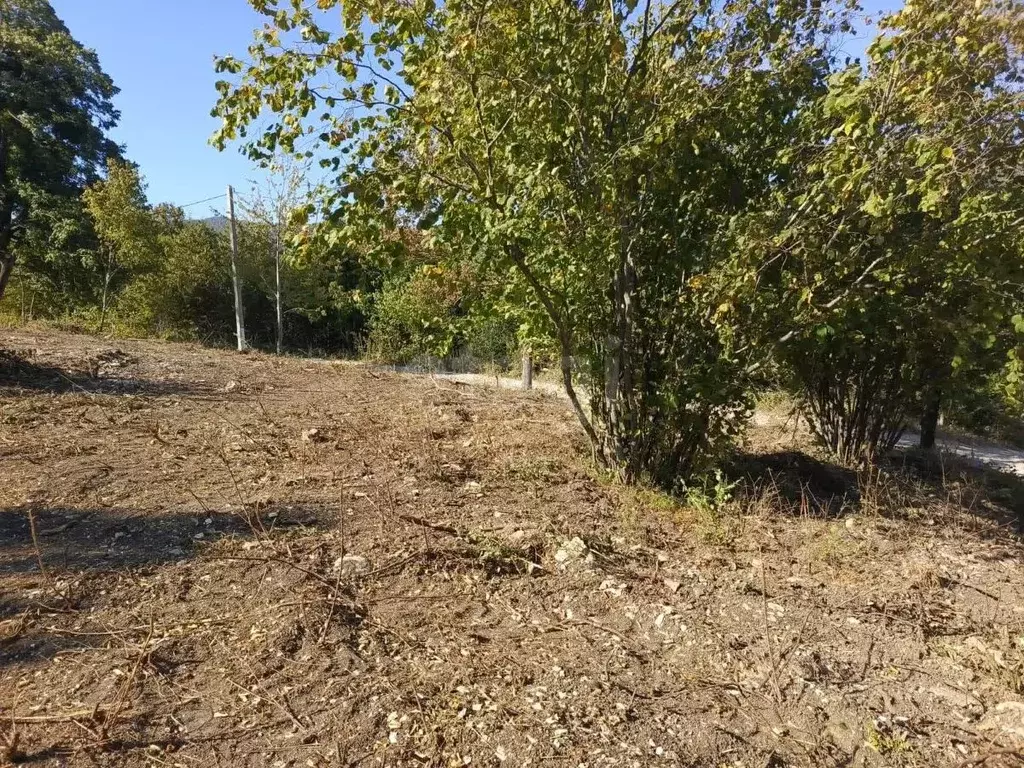 Участок в Краснодарский край, Геленджик городской округ, с. Адербиевка ... - Фото 1