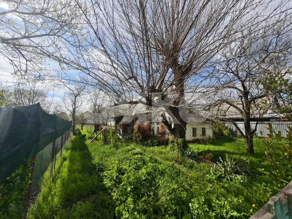 Участок в Кореновск, улица Чкалова, 16 (16.2 м) - Фото 1