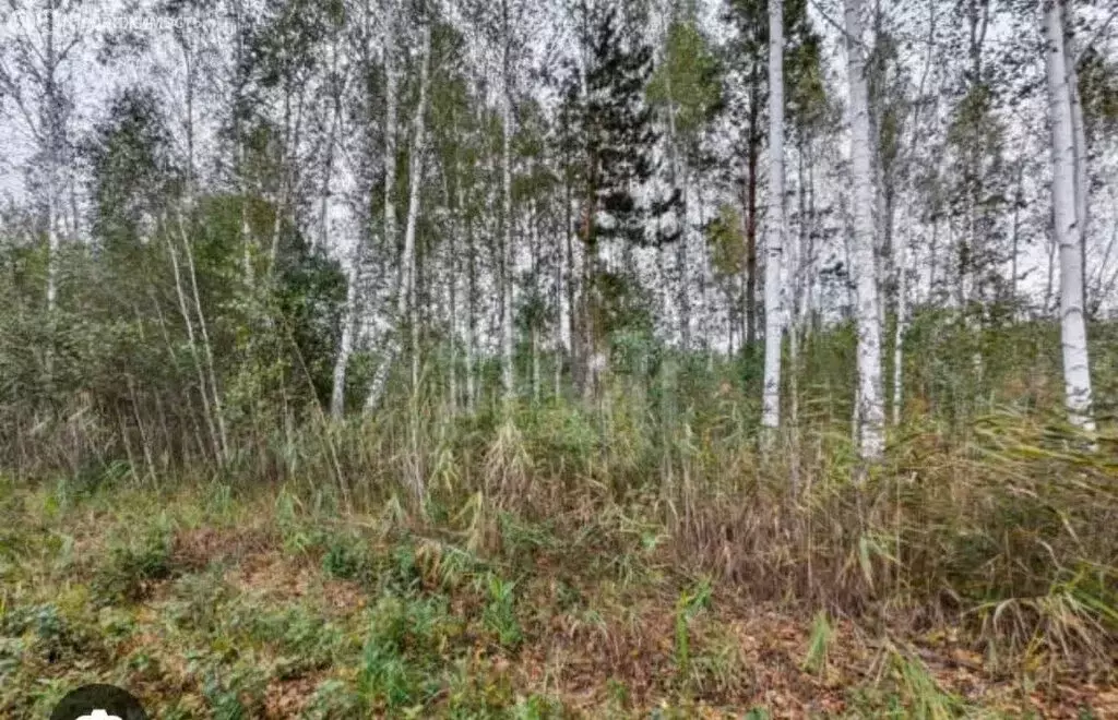 Участок в Златоуст, СНТ Уральские Зори (6.6 м) - Фото 1